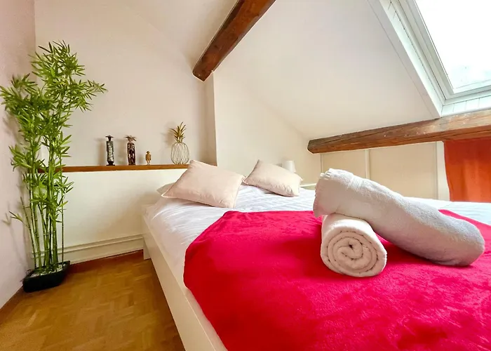 Bngo I Le Spacieux I 9 Personnes, Climatisation, Parking Gratuit, 3 Chambres, 6 Lits, Gare Partdieu, Centre De ליון