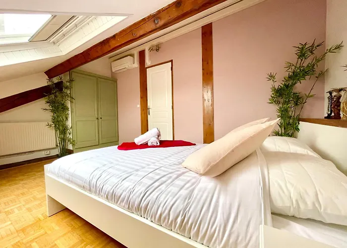 דירה Bngo I Le Spacieux I 9 Personnes, Climatisation, Parking Gratuit, 3 Chambres, 6 Lits, Gare Partdieu, Centre De ליון