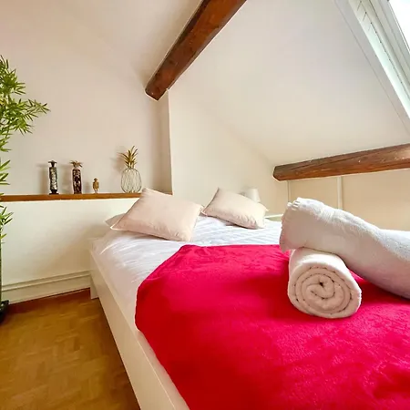 Bngo I Le Spacieux I 9 Personnes, Climatisation, Parking Gratuit, 3 Chambres, 6 Lits, Gare Partdieu, Centre De Λυών
